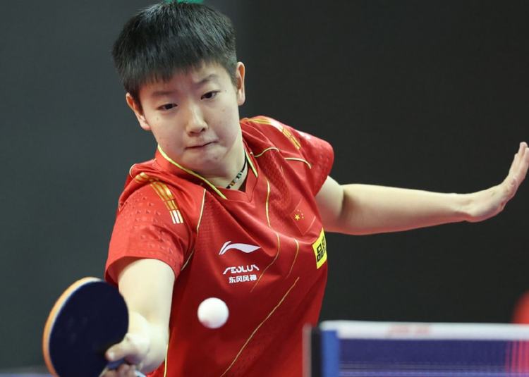 的技术执行 的技术执行